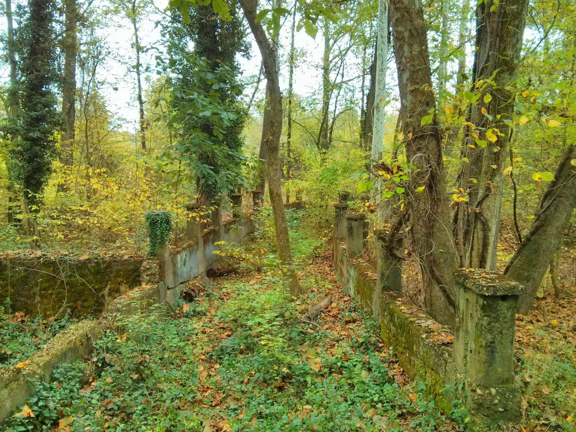 Ruins of estate structures on Lauck’s Island